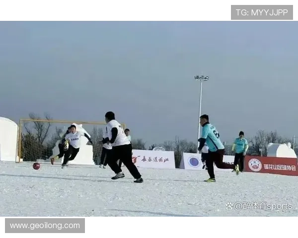 保定金融系统足球赛事（保定金融经济学院）sports